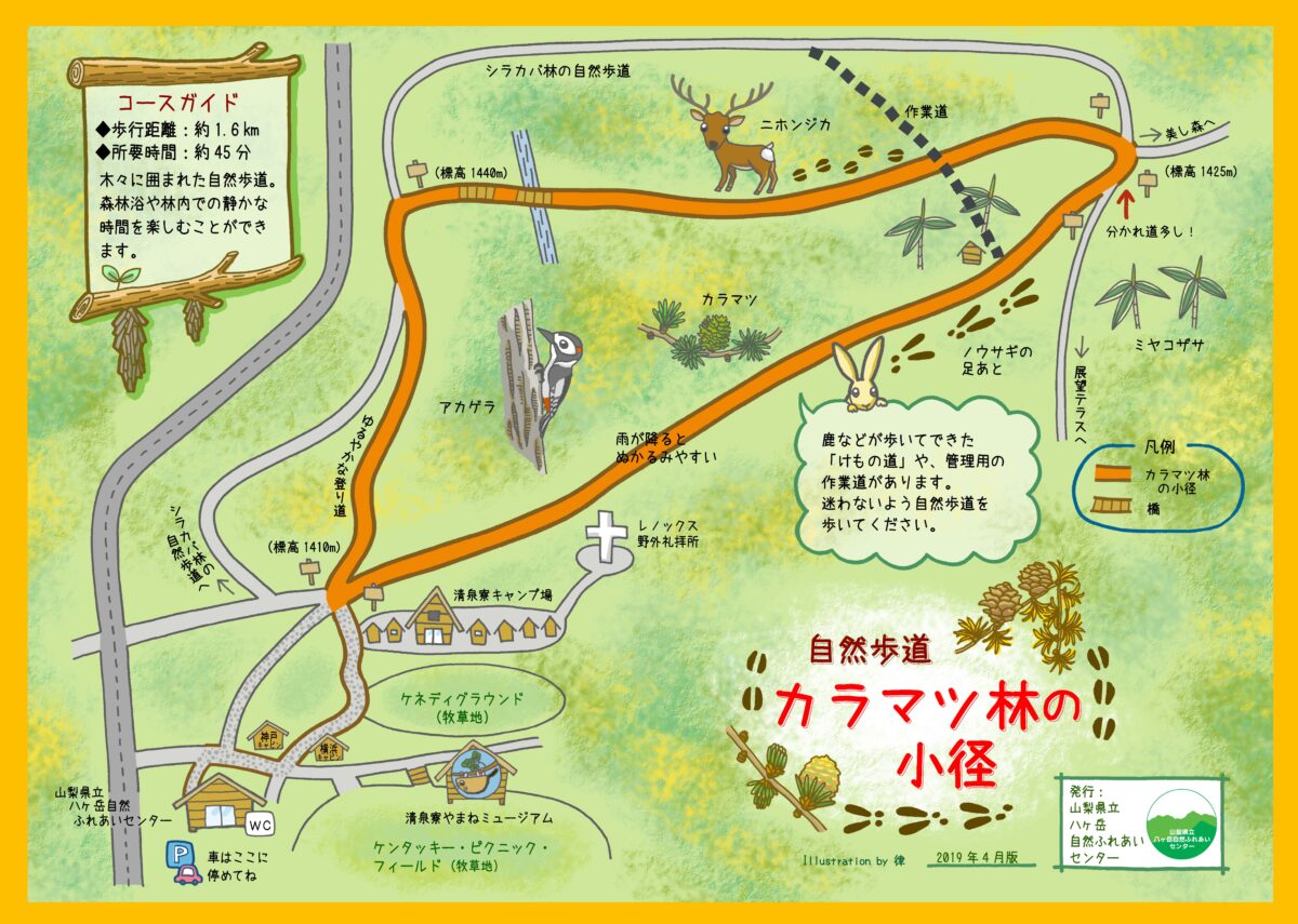 MAP　カラマツ林の小径