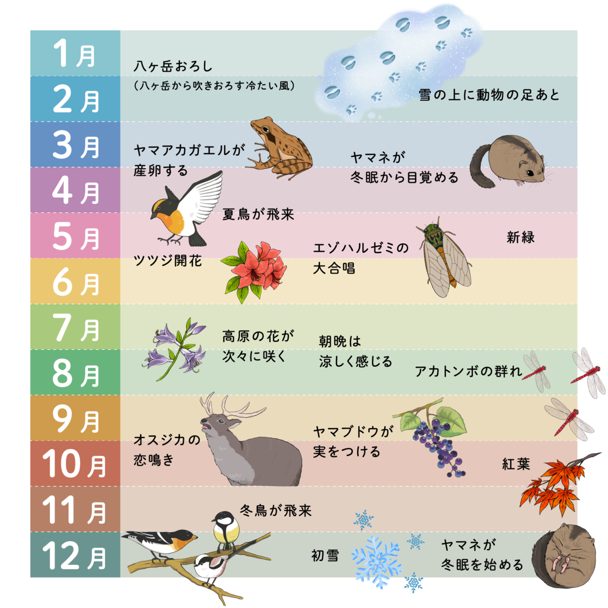 公の場での発言・インタビュー報道記録