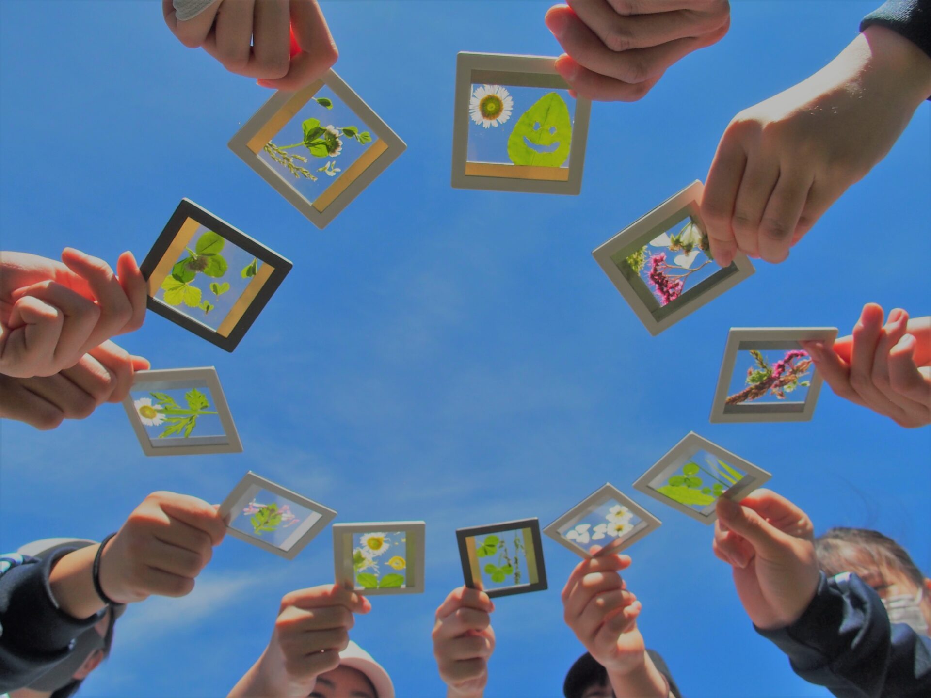 インタープリテーション